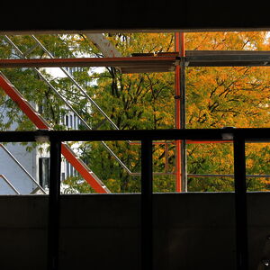 Fall approaches – tree leaves turn golden, seen from the construction site…